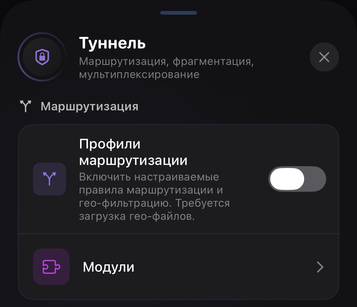 IMG_5782.jpeg